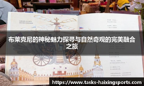海星体育直播